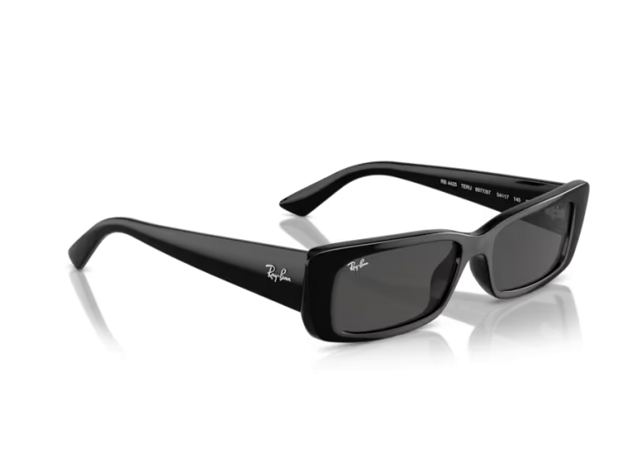 RAY BAN TERU RB4425/6677/87 54